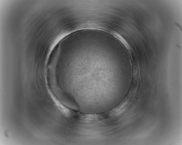 X0000095881144200801111127