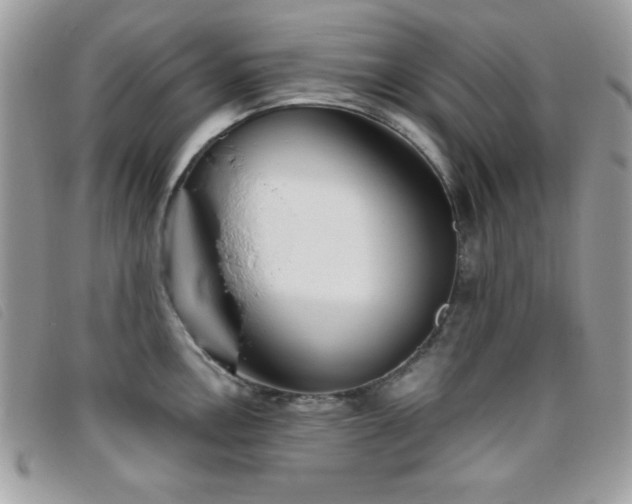 X0000095881146200801111127