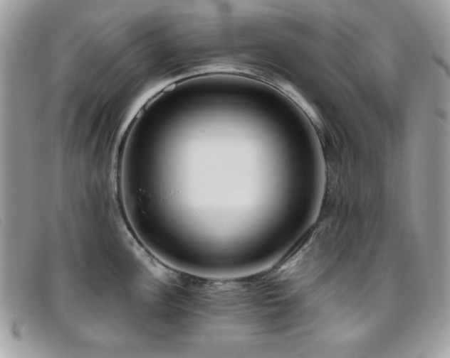X0000095881148200801111127