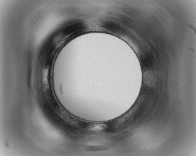 X0000095881150200801111128