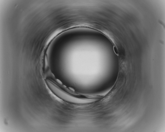 X0000095881151200801111128