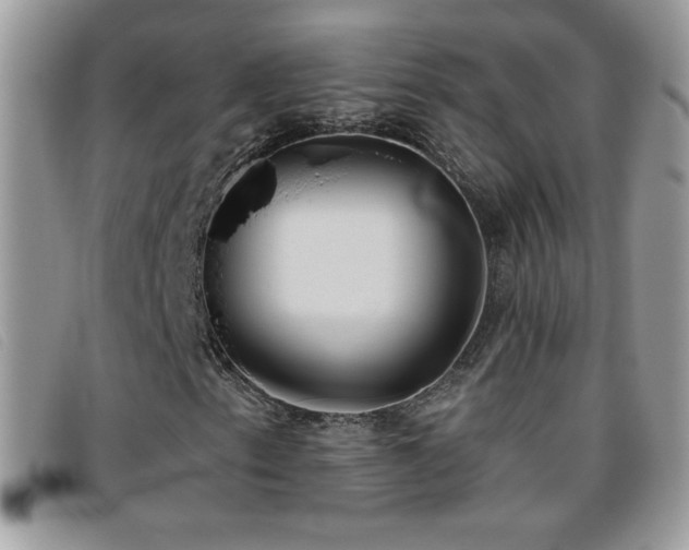 X0000095881153200801111127