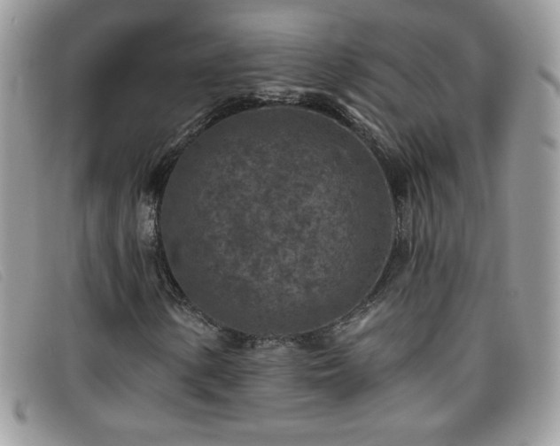 X0000095881154200801111127