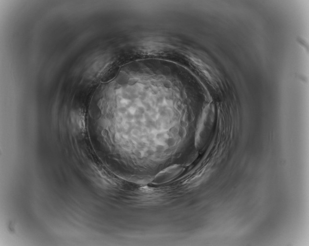 X0000095881155200801111127
