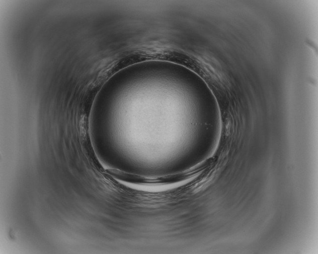 X0000095881156200801111127