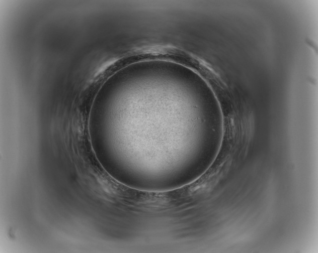 X0000095881158200801111127