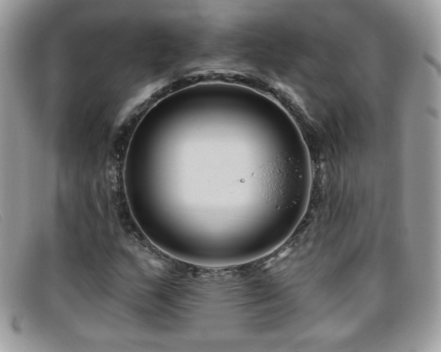 X0000095881159200801111127