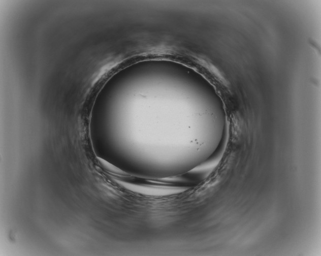 X0000095881160200801111127