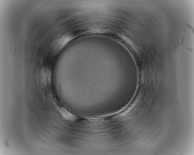 X0000095881161200801111127