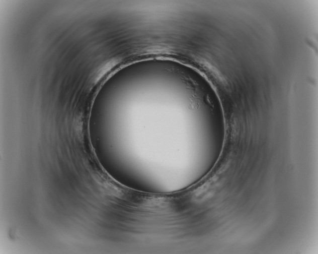 X0000095881162200801111127