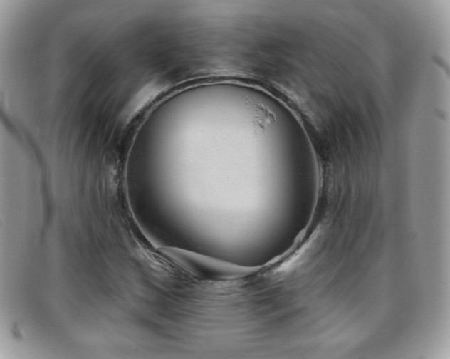 X0000095881163200801111127