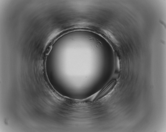 X0000095881164200801111127