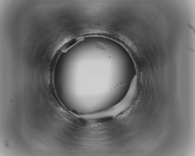 X0000095881165200801111127
