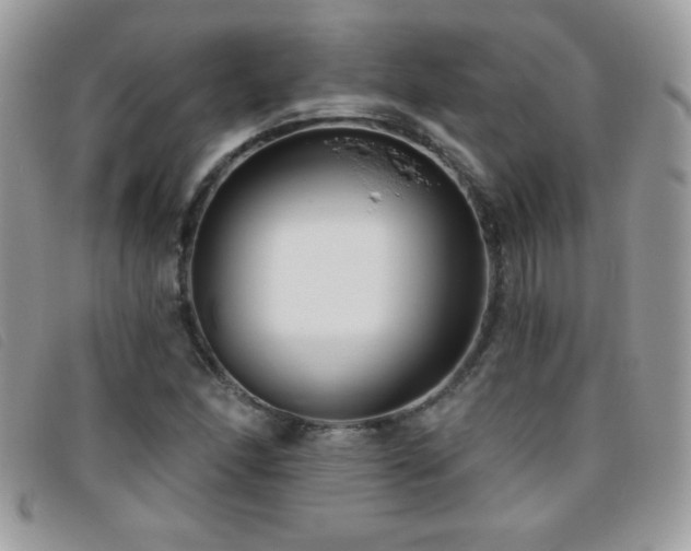 X0000095881166200801111127