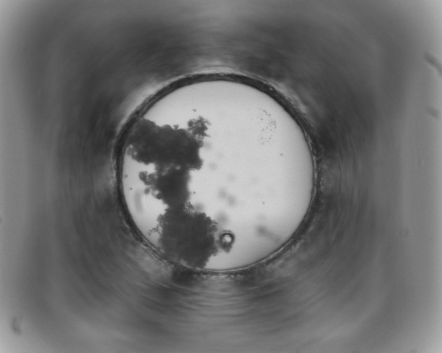 X0000095881167200801111127