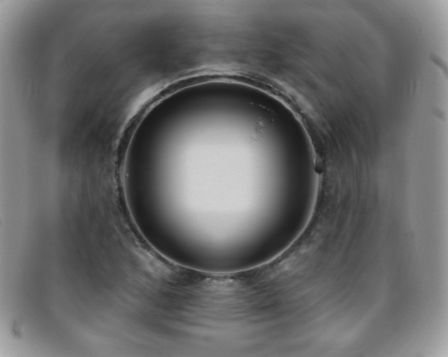X0000095881168200801111127