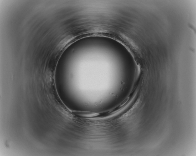 X0000095881169200801111127