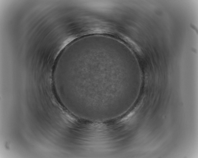 X0000095881170200801111127
