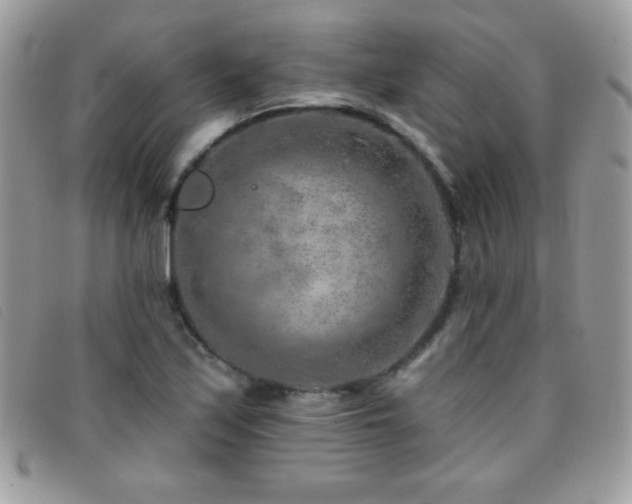 X0000095881171200801111127