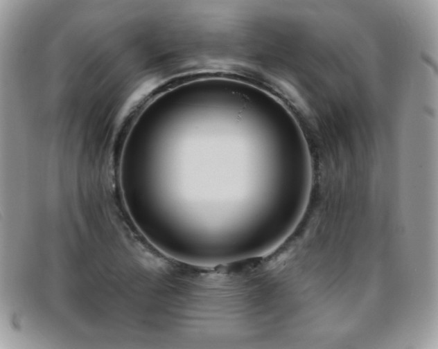 X0000095881172200801111127