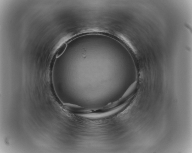 X0000095881173200801111127