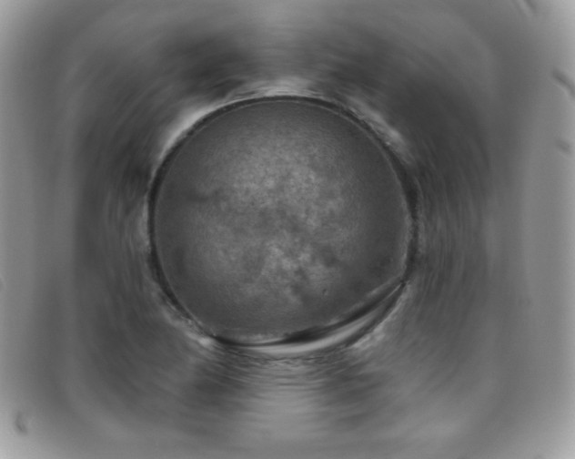 X0000095881174200801111127