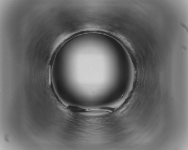 X0000095881175200801111127