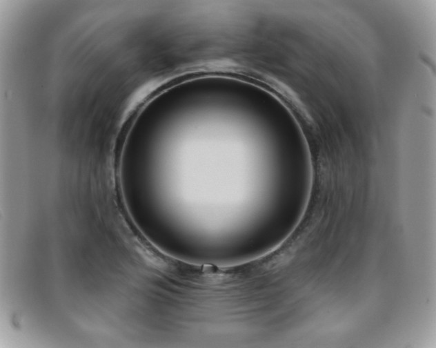 X0000095881176200801111127