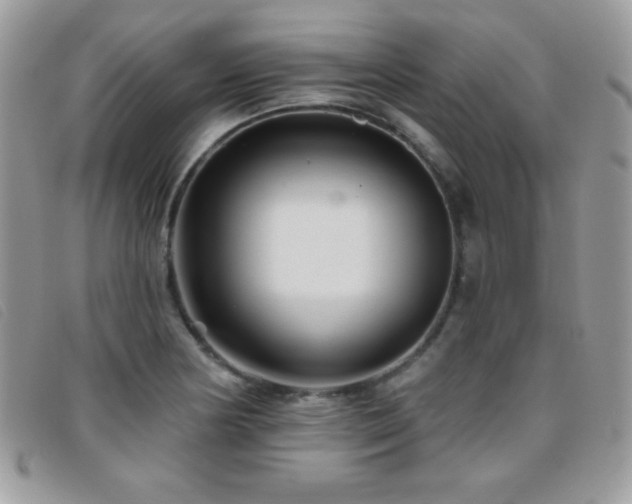 X0000095881178200801111127