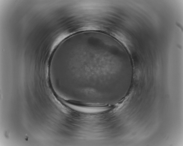 X0000095881179200801111127