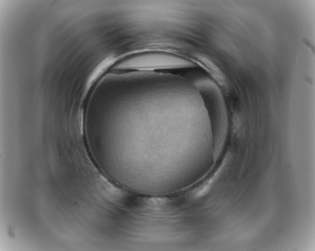 X0000095881180200801111127