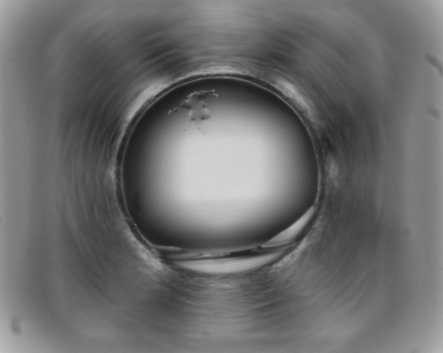 X0000095881181200801111127