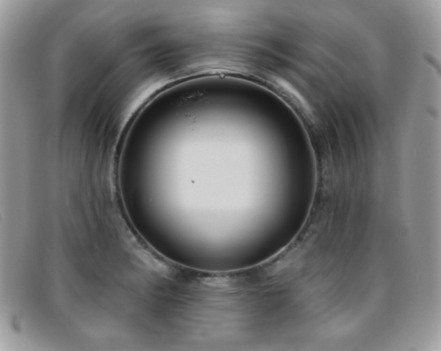 X0000095881182200801111126