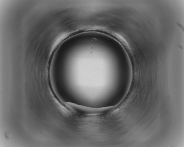 X0000095881183200801111126