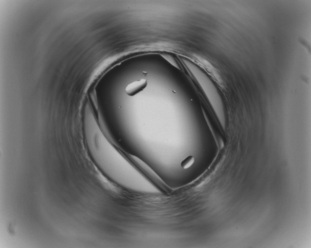 X0000095881184200801111126
