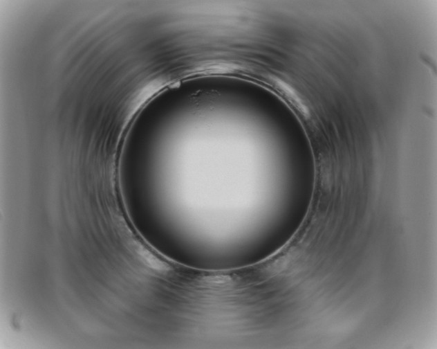 X0000095881186200801111126