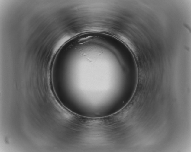 X0000095881187200801111126