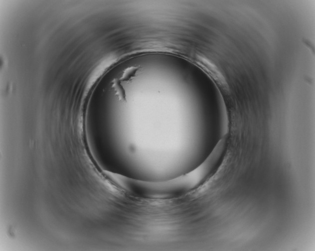 X0000095881188200801111126