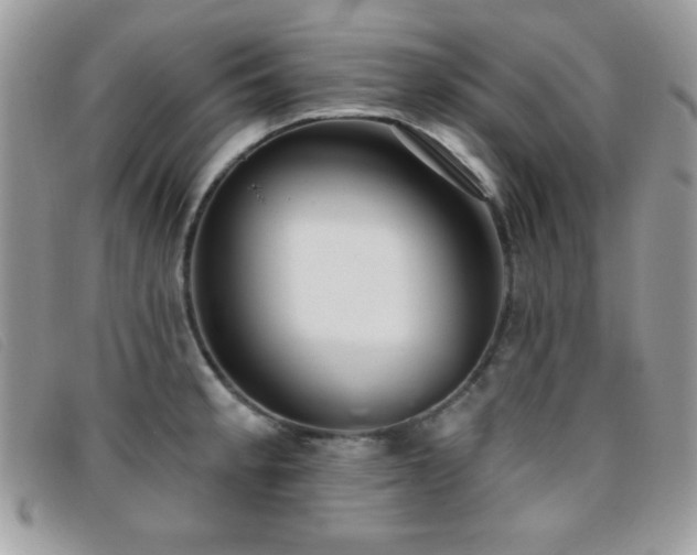 X0000095881189200801111126
