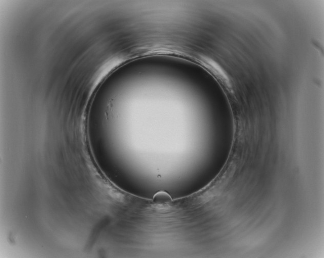 X0000095881190200801111126