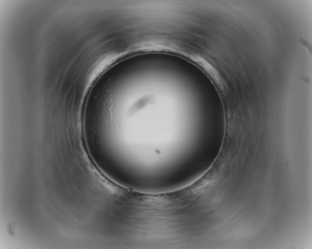 X0000095881191200801111126