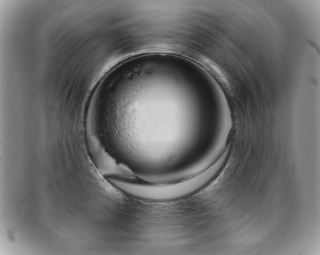 X0000095881192200801111126