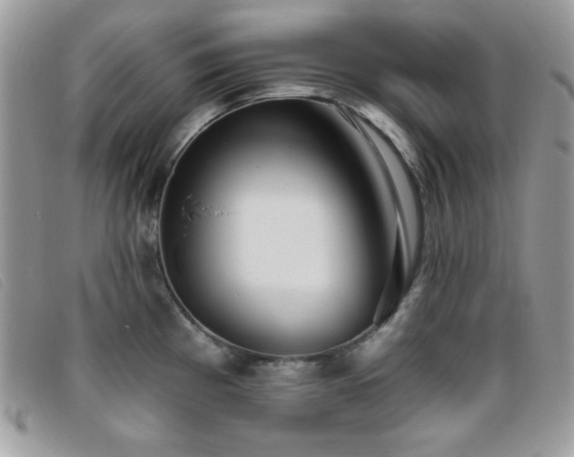 X0000095881193200801111126