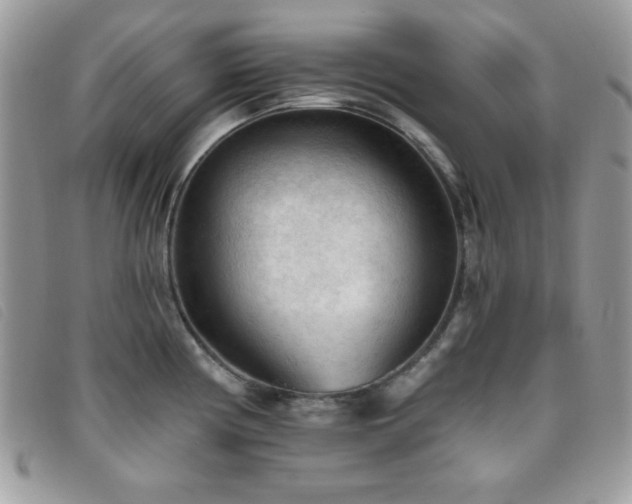 X0000095881194200801111126