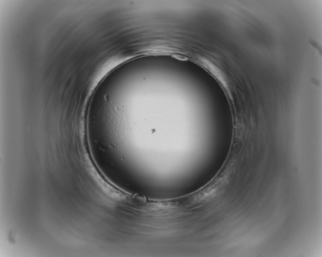 X0000095881195200801111126