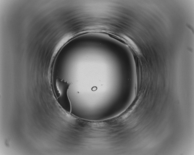 X0000095881196200801111126