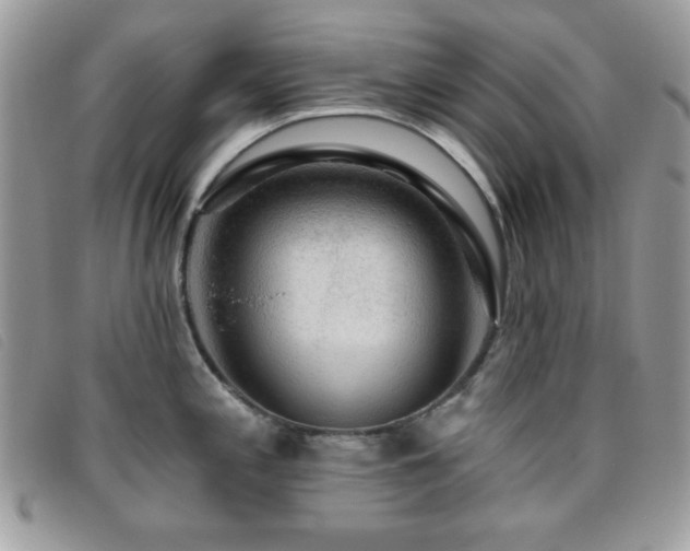 X0000095881197200801111126