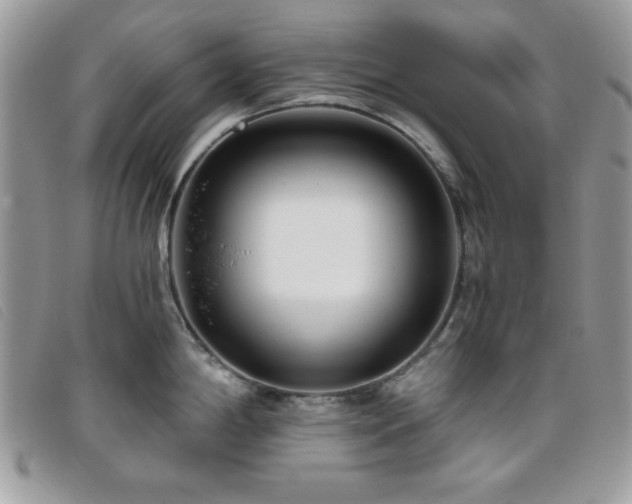X0000095881198200801111126