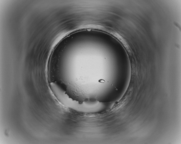 X0000095881199200801111126