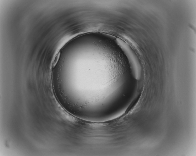 X0000095881200200801111126